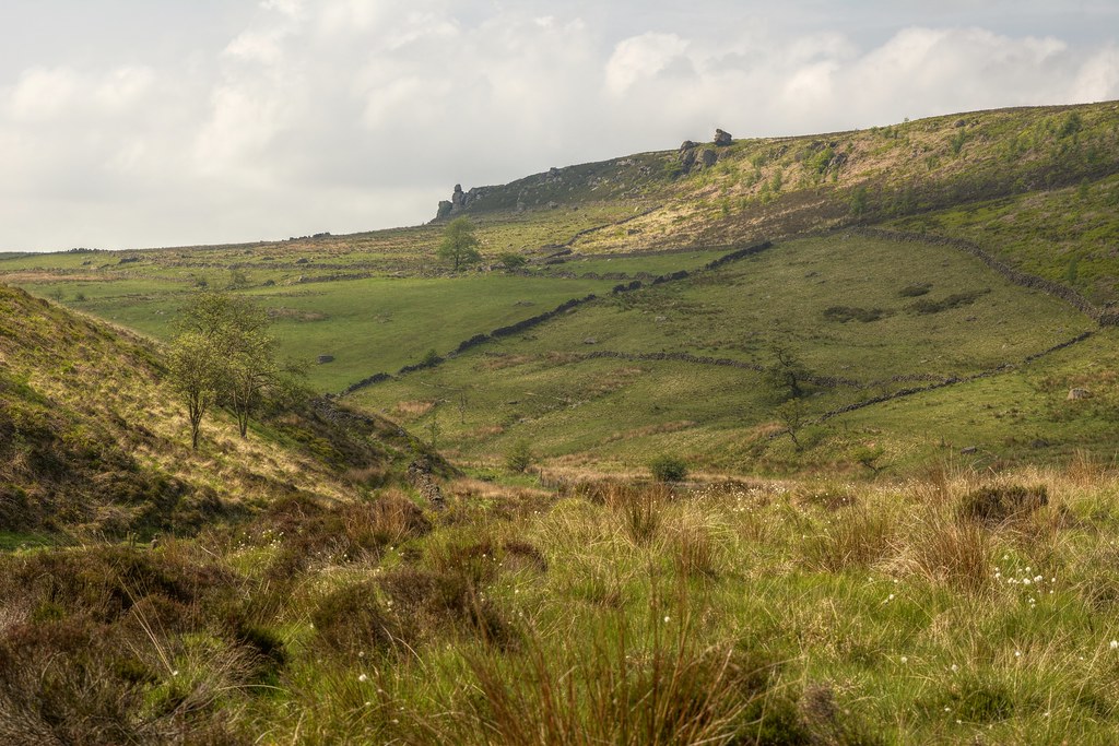 BlackBrook Black Brook Valley near Gradbach, Staffordshire… Tony