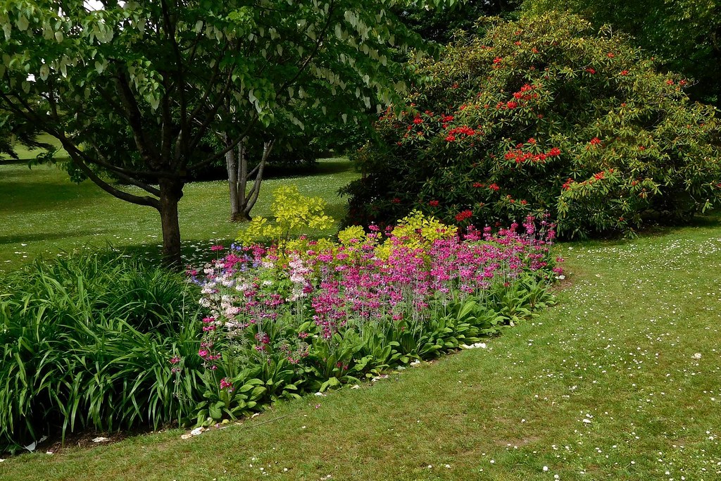 Clyne in Bloom MidMay 2017 (10) Flowers in bloom, Clyne G… Flickr