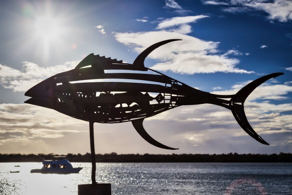 Fish Sculptures One of six sculptures of various fish alon… Flickr