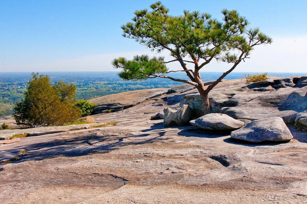  High On The Mountain Top Stone Mountain, 201… Flickr