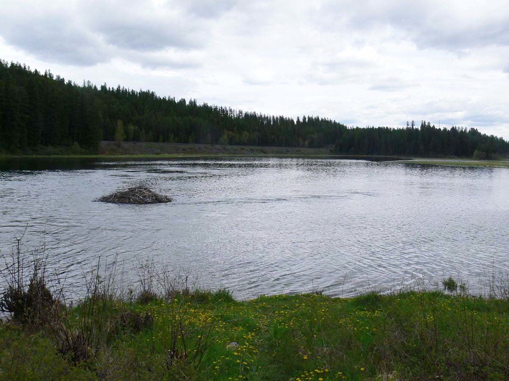 Mock, Montana Flathead County. Upper Stillwater Lake, seen… Flickr