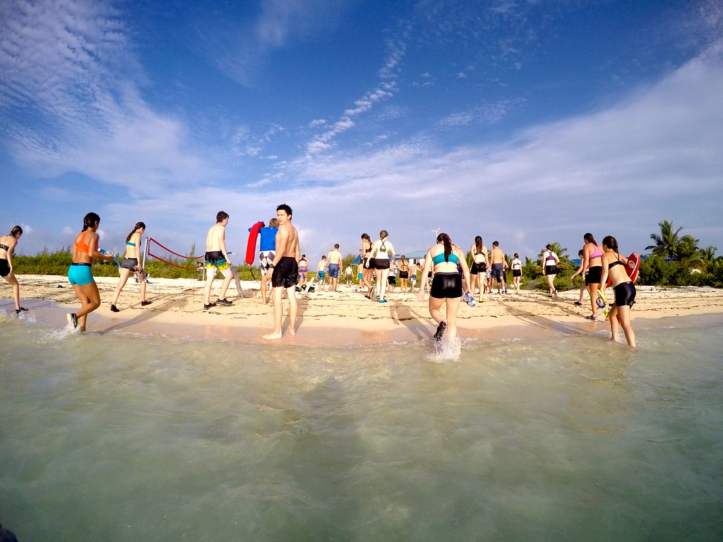 Summer Term 2015 Flickr