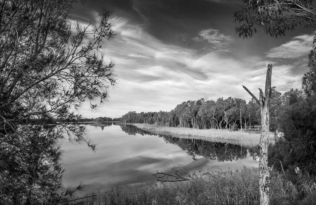 Corunna calm An almost still corner of Corunna Lake on the… Flickr