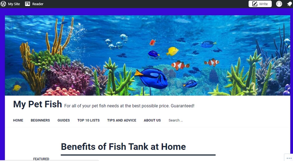 My Pet Fish My Pet Fish My Pet Fish My pet fish is a place… Flickr