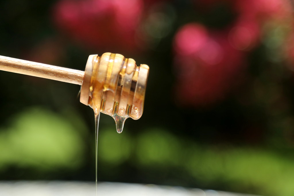 honey_5Div2265 Honey dripping from a honey dripper, for 11… Flickr