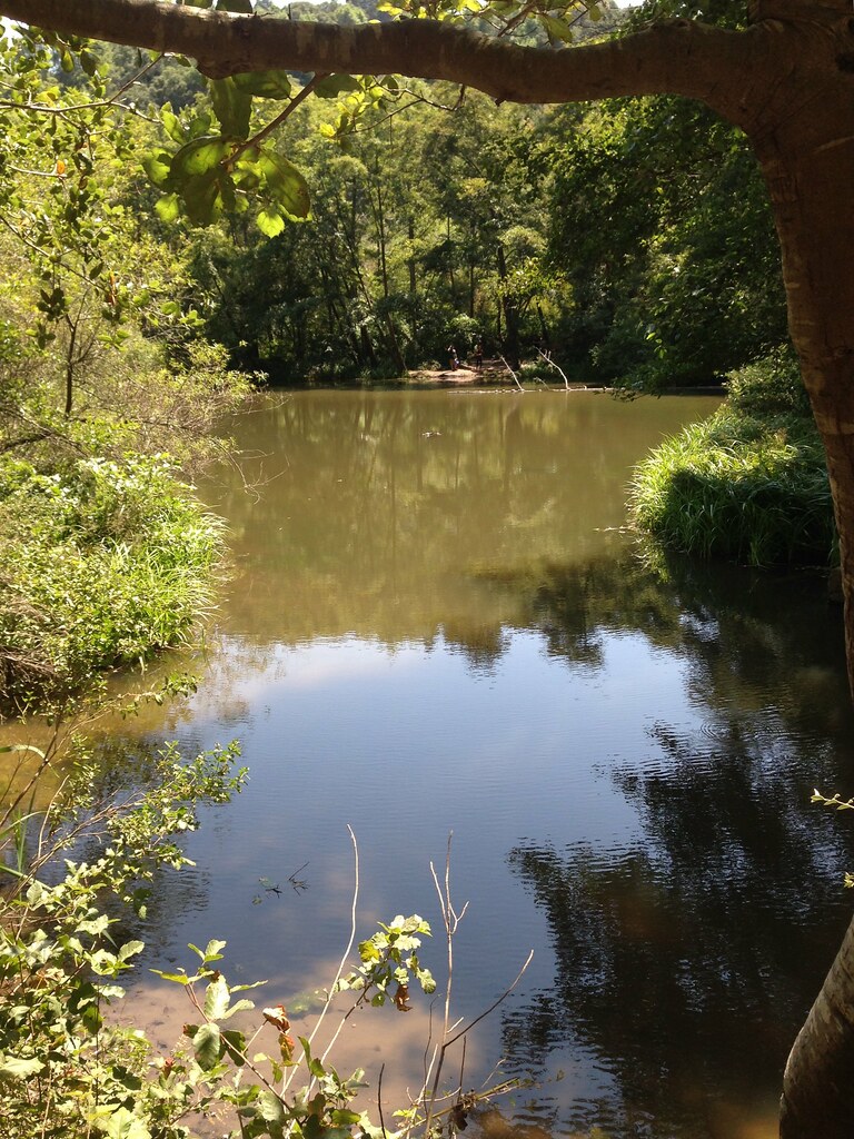 Jewel Lake. Tilden Park. melystu Flickr