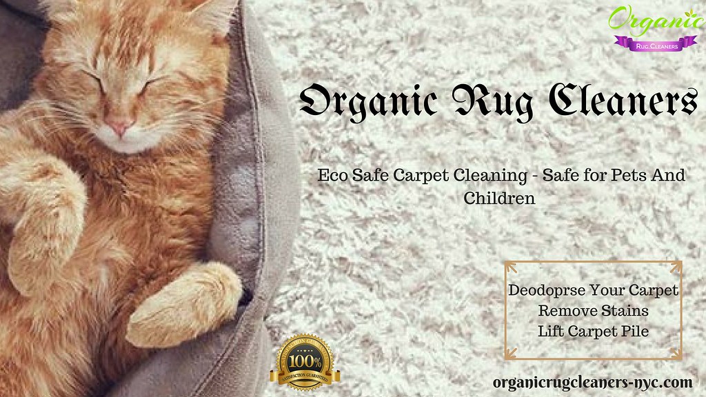 Eco Safe Carpet Cleaning NYC Safe for Pets And Children Flickr