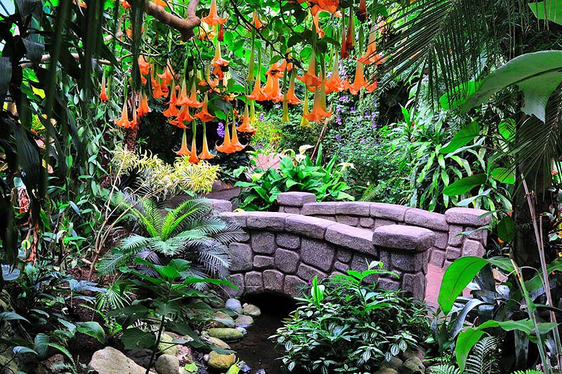 Victoria Butterfly Gardens Vancouver Island News, Events, Travel