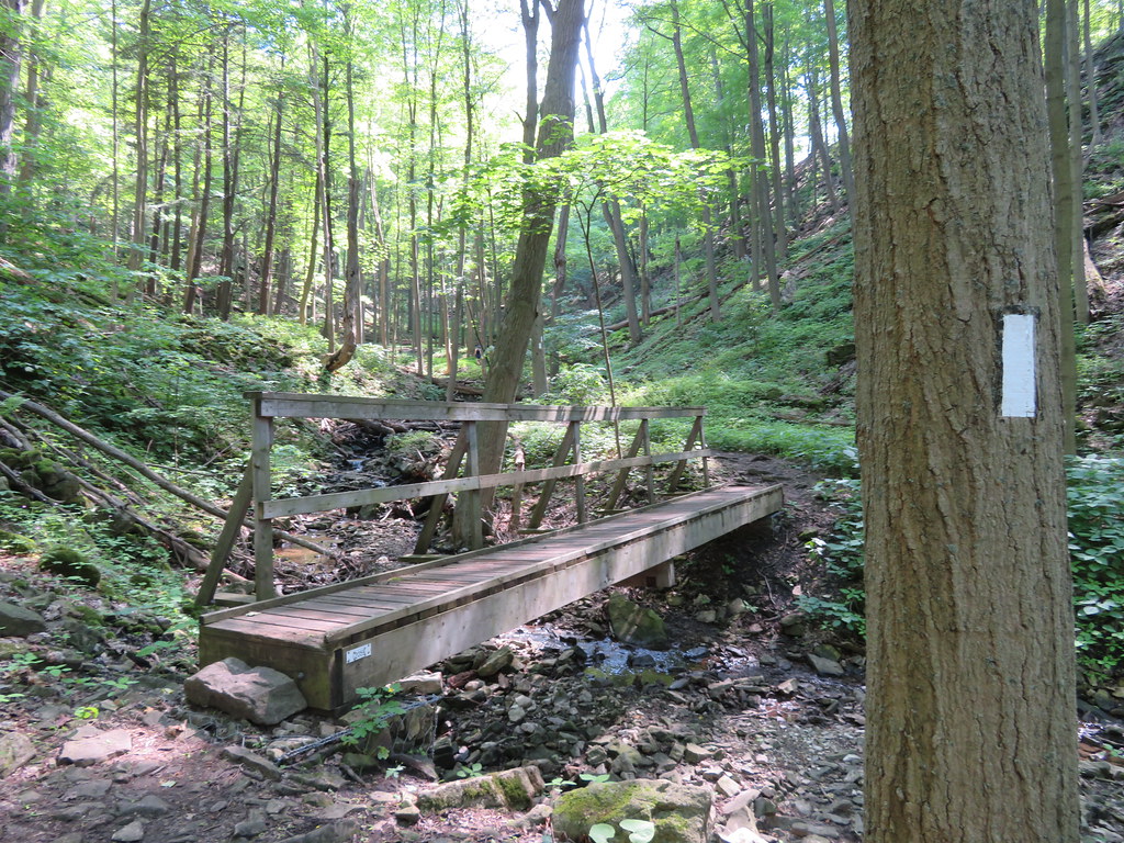 Bruce Trail near Shaver Falls, Ancaster Sean Marshall Flickr