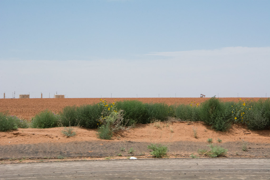 A Texas Odyssey Flickr