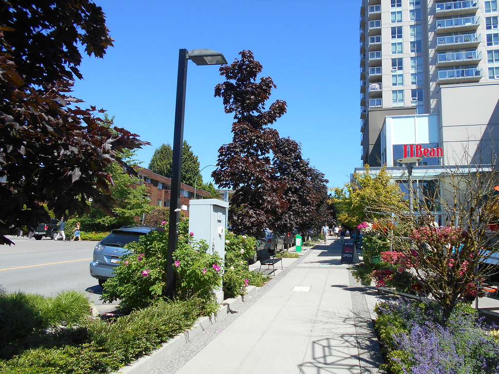 Trees of The Local (E 17th & Lonsdale) North Vancouver, British