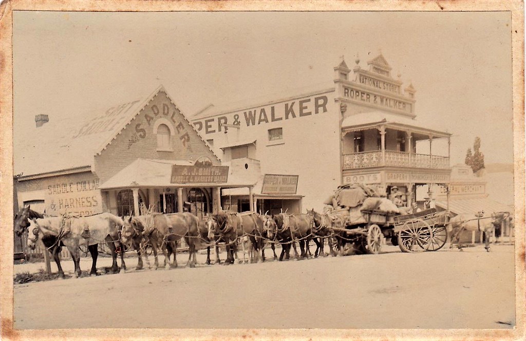A.J. Smith, Saddler in Tenterfield, N.S.W. very early 1900s a photo