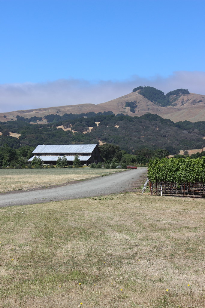 Farm, Green Valley Farm Green Valley Road Green Valley, So… Flickr