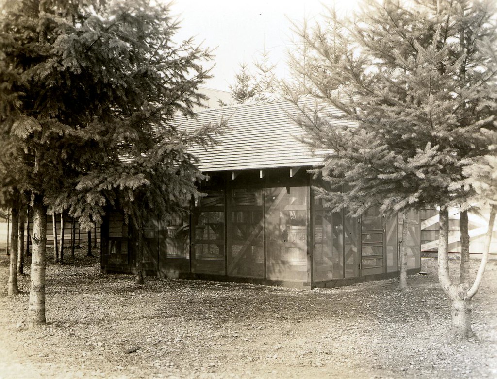 1937. Insectary/field laboratory set up by Robert L. Furni… Flickr