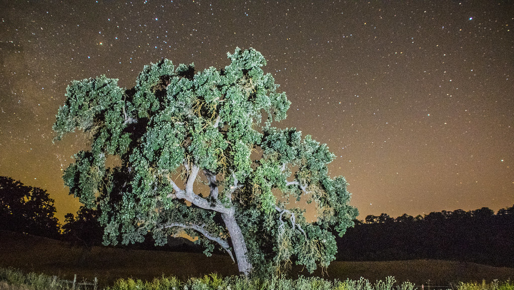 Starshots 5 in Santa Margarita Area (1 of 1) Bob Canepa an… Flickr