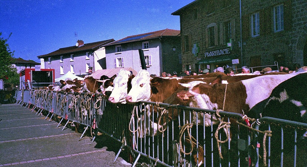 Haute Rivoire Rhone Foire Aux Bestiaux Foire Du 29 Avri Flickr