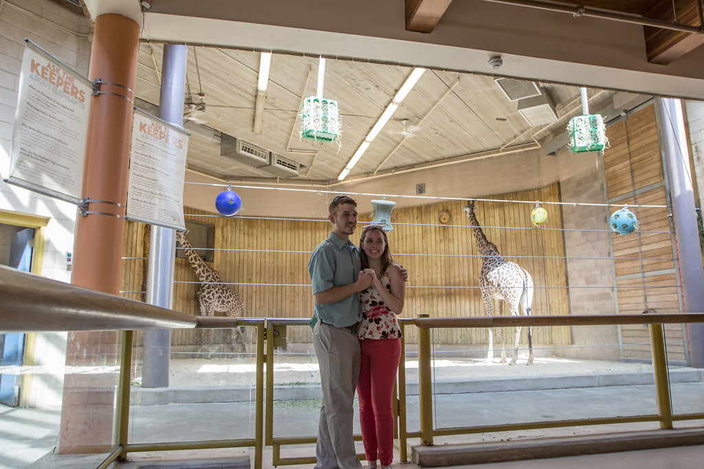 IMG_1171 Elizabeth Caron Flickr