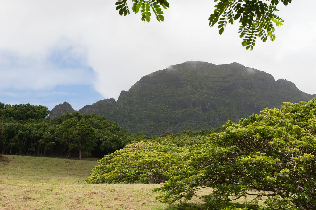 Kayaking the Hule'ia River This is the field where Indiana… Flickr