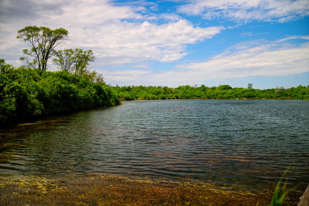 Lake Renwick Preserve Rudolph Rodriguez Jr. Flickr