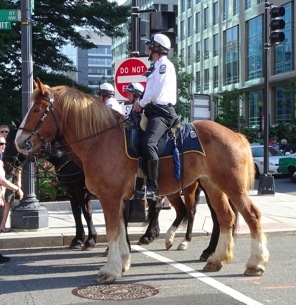 Columbus OH Police Mounted Unit (114) rwcar4 Flickr