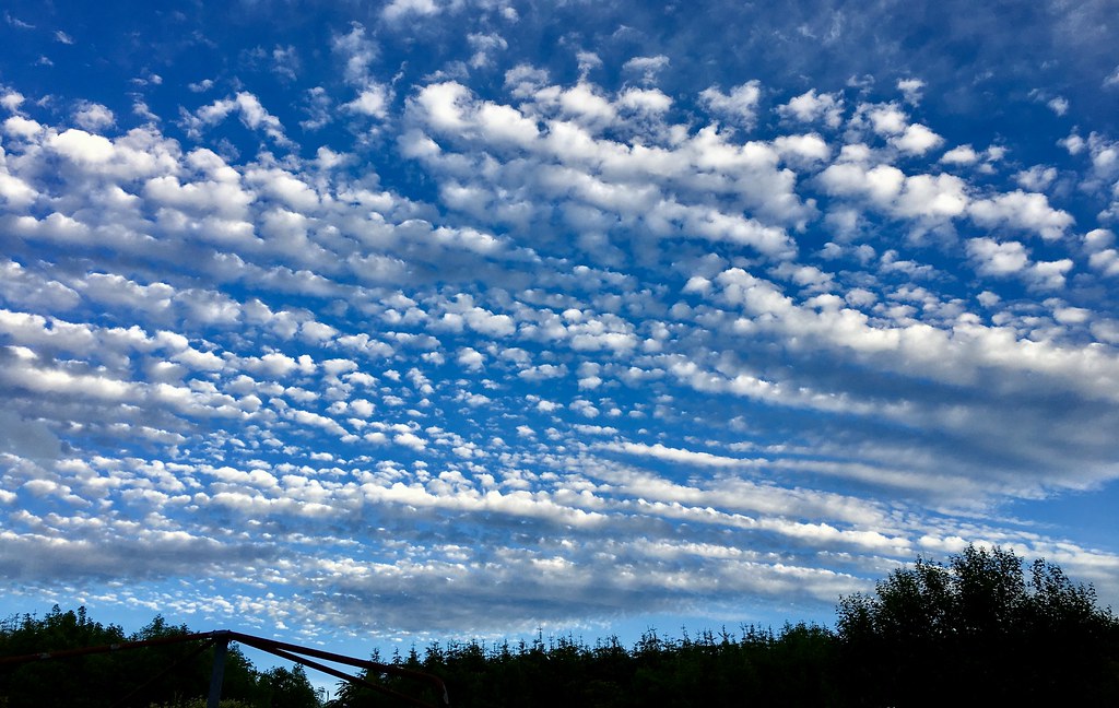 Cotton wool clouds Natures art on display in the evening Mairi