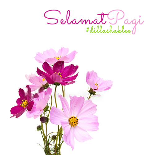 Selamat Pagi Bunga Dilla Syadila Flickr