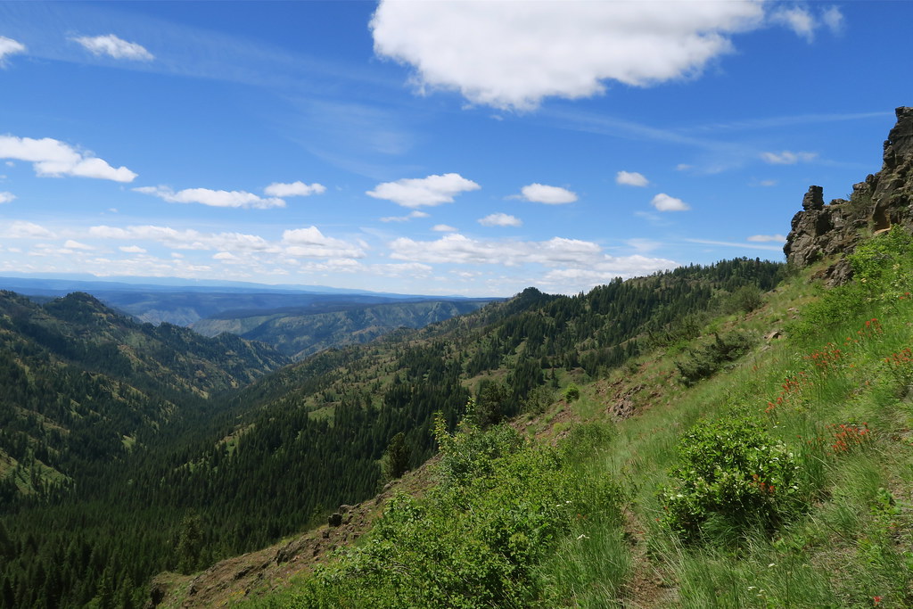 Vista WenahaTucannon Wilderness, Umatilla National Forest… Flickr