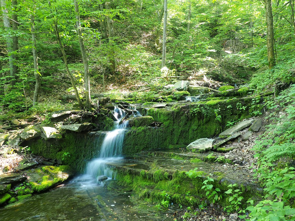 Stone Quarry Run, off the Pine Creek Rail Trail OLYMPUS DI… Flickr