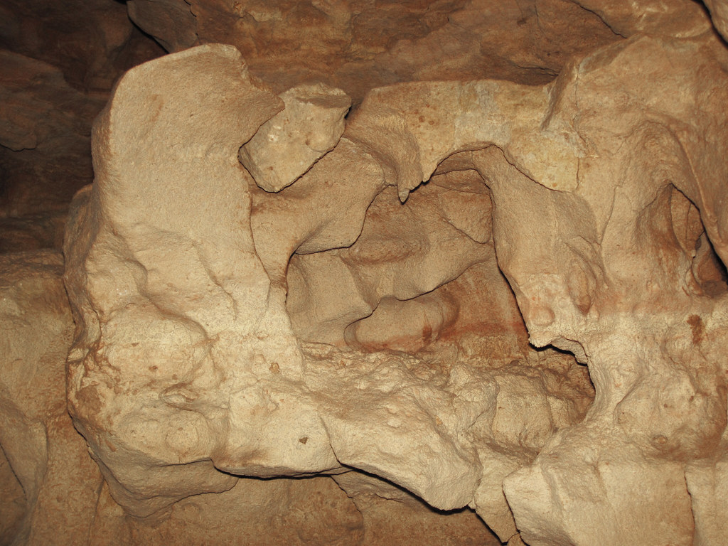 Solution pockets in dolostone (Prairie du Chien Group, Ord… Flickr