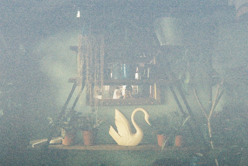 Johor Bahru Kodak Disposal Film Cam Flickr