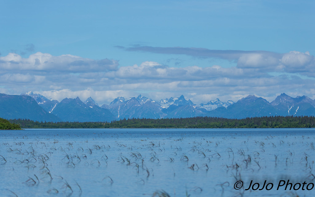 Bristol Bay, Alaska, USA 201764 Mary Johnson Flickr