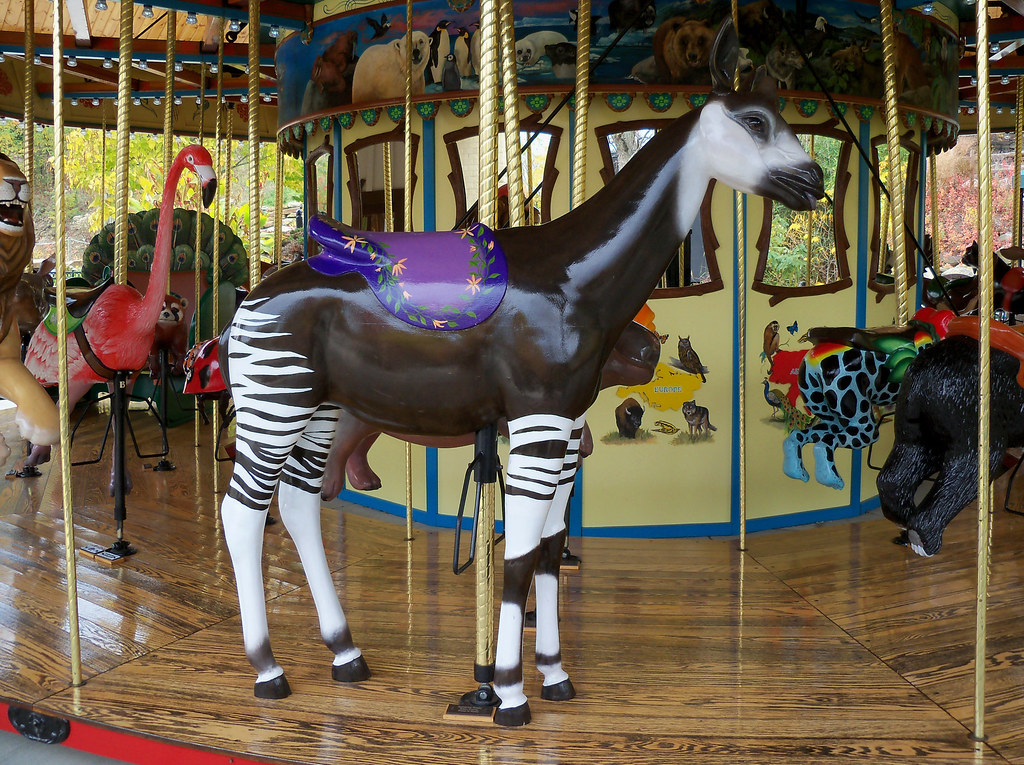 OH Akron Akron Zoo Conservation Carousel 7 The Akron Zoo… Flickr