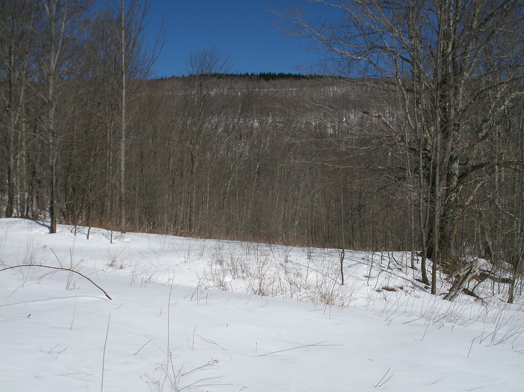 SOTA East Jewett High Peak GE DIGITAL CAMERA Catskill Mtns Flickr