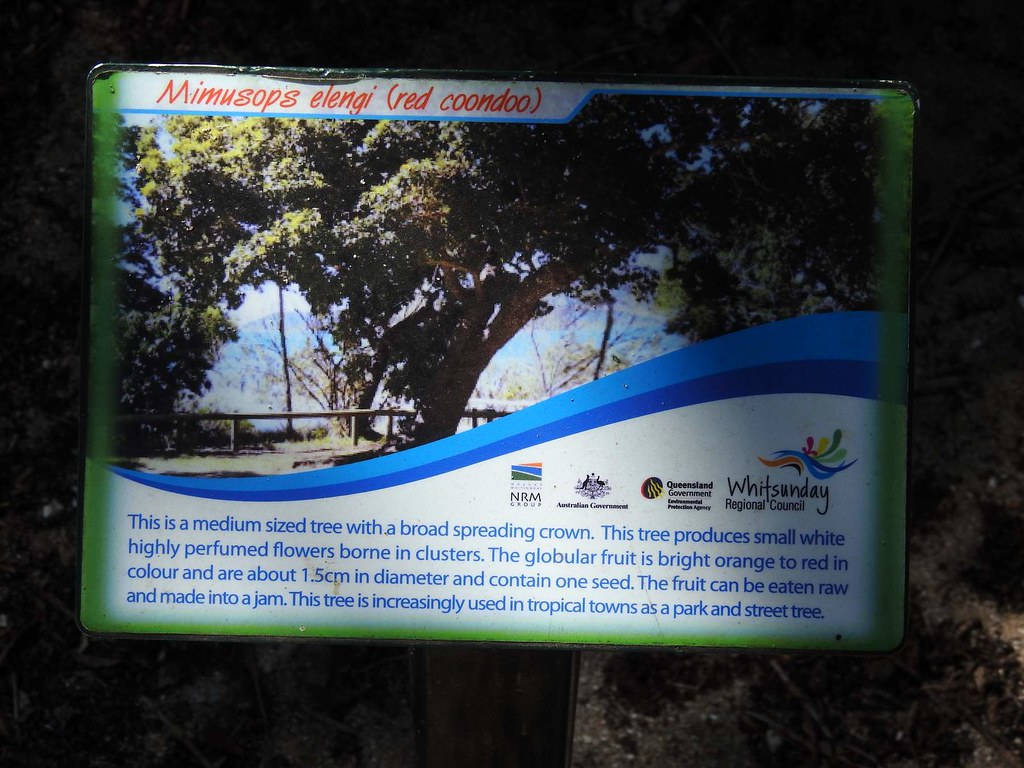 Nellie Bay interpretive Mimuspops elengi Good wildlife f… Flickr