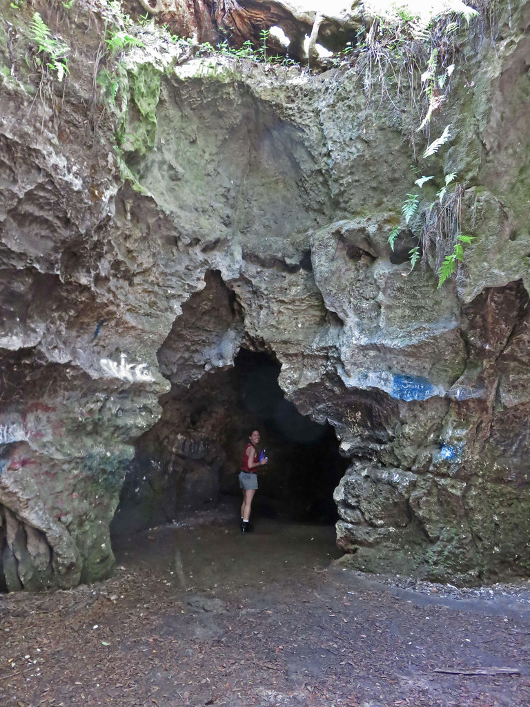 caves in Florida? Dames Caves Withlacoochee Forest Florida… Flickr