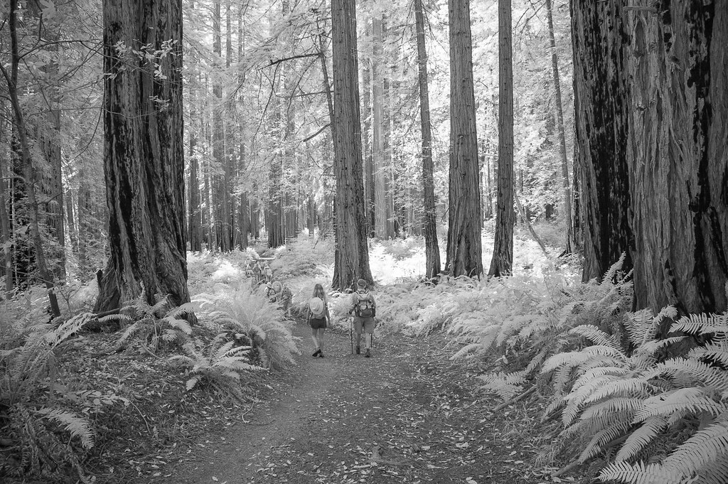 Bolinas Ridge_07122017140 James Thomason Flickr