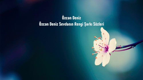 Özcan Deniz Sevdanın Rengi sözleri Özcan Deniz Sevdanın Re… Flickr