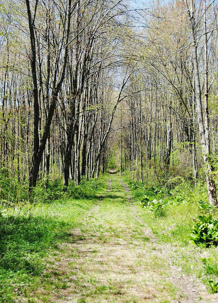 Batz Property Town of Ellington Flickr