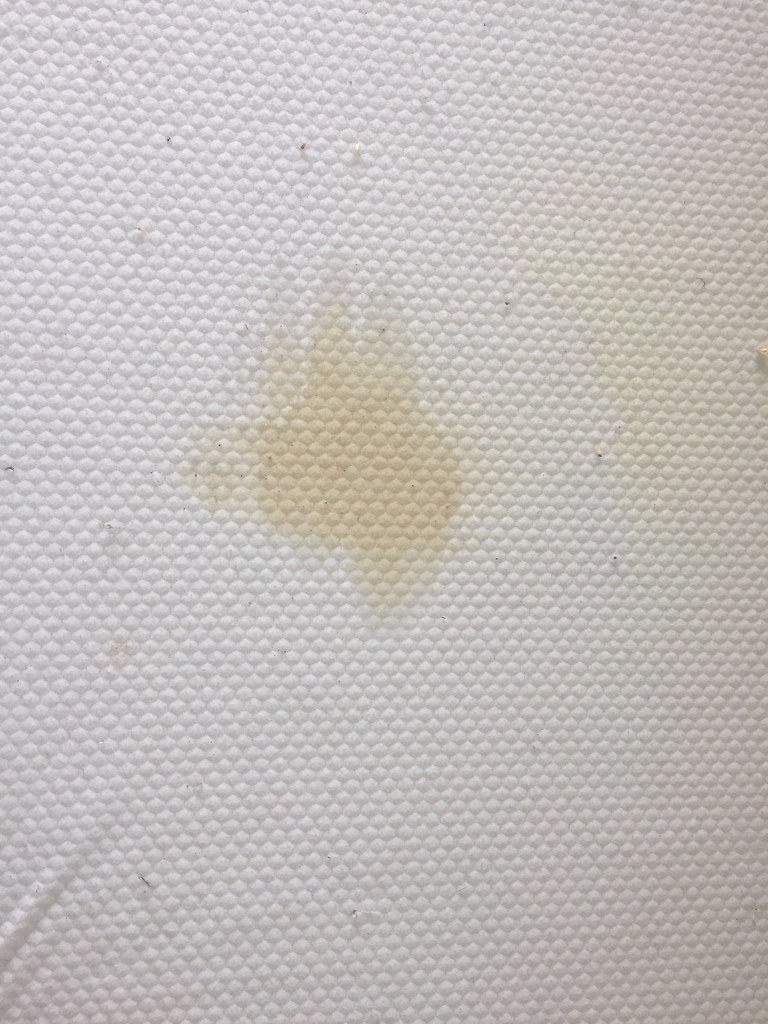 Bear Mattress Protector Review waterproof mattress protect… Flickr