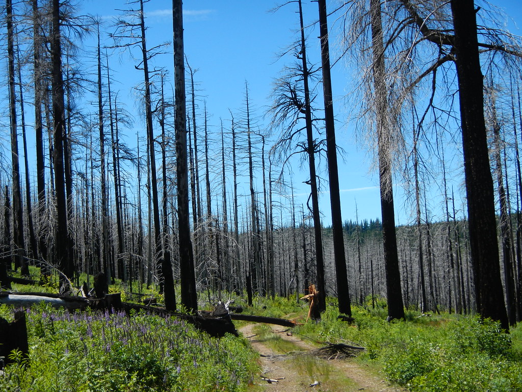 2017 Mosier Mayhem Flickr