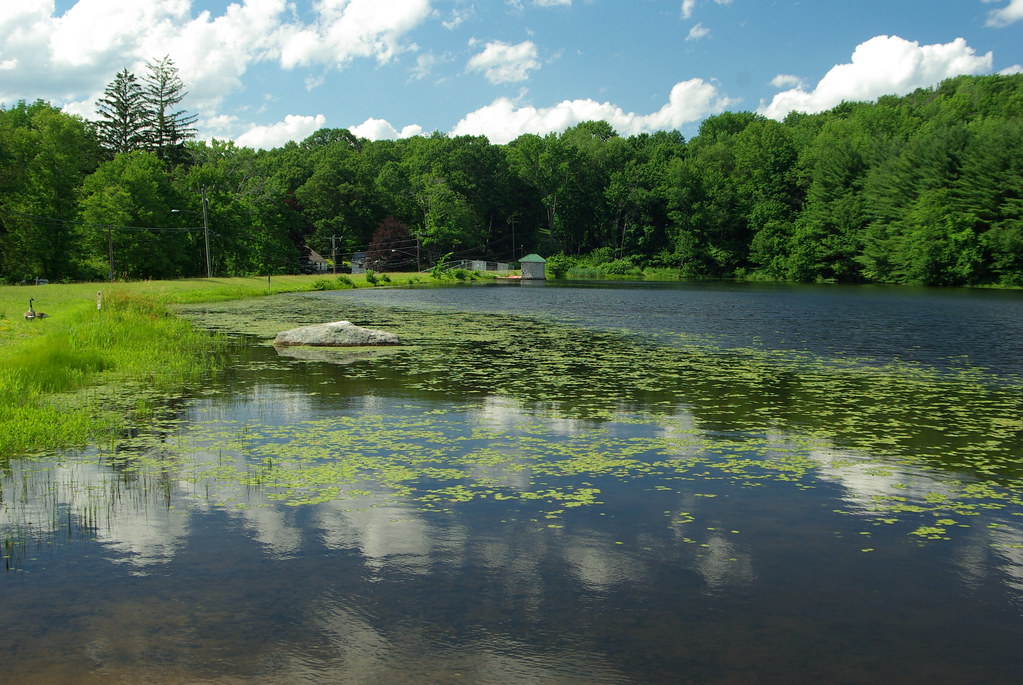 IMGP0951 Plymouth CT Reservoir Francisco Jimenez Flickr