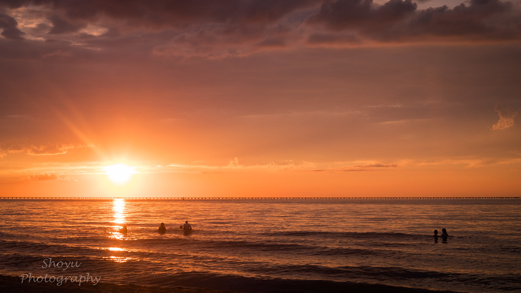 First Landing State Park Virginia Beach, Virginia Flickr