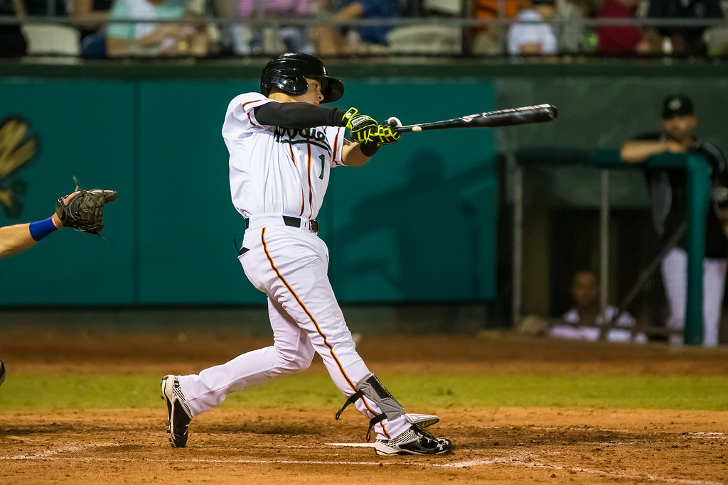 Wood Ducks Baseball '17 R24KBerg Flickr