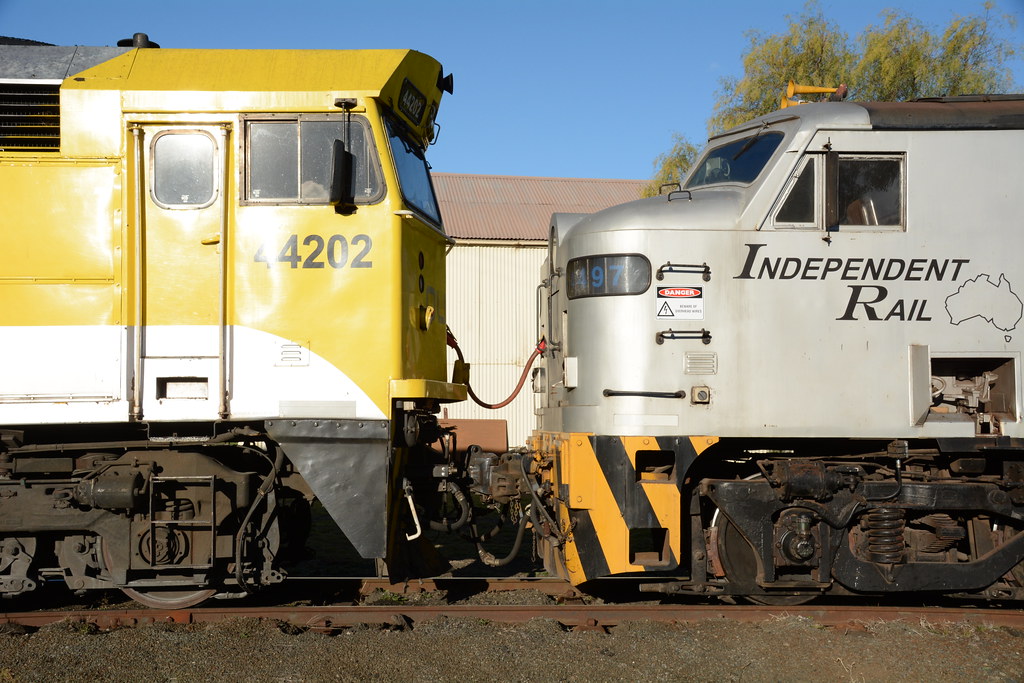 44202, 4497, 4458 & QBX006 | 44202 & 4458 WITH RECENTLY OUTS… | Flickr