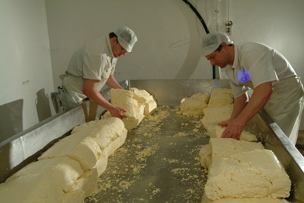 Cheese making, Somerset Traditional cheese making in Somer… Flickr