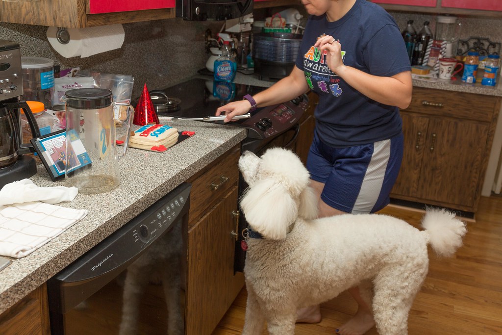 20170725867A8082 Jamie Sanders Flickr