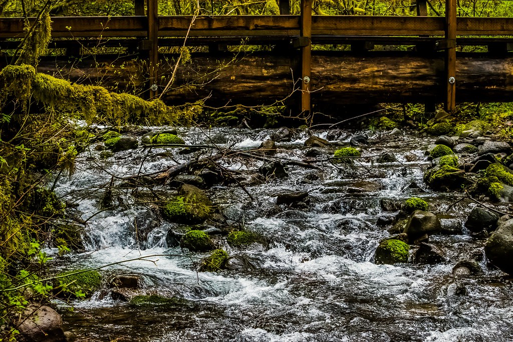 Dry Creek Falls, Oregon ♤♡♢♧ ♡♢♧ ♢♧ ♧♢♡♤ ♤♡♢♧ ♡♢♧ ♢♧ ♧♢♡♤ … Flickr