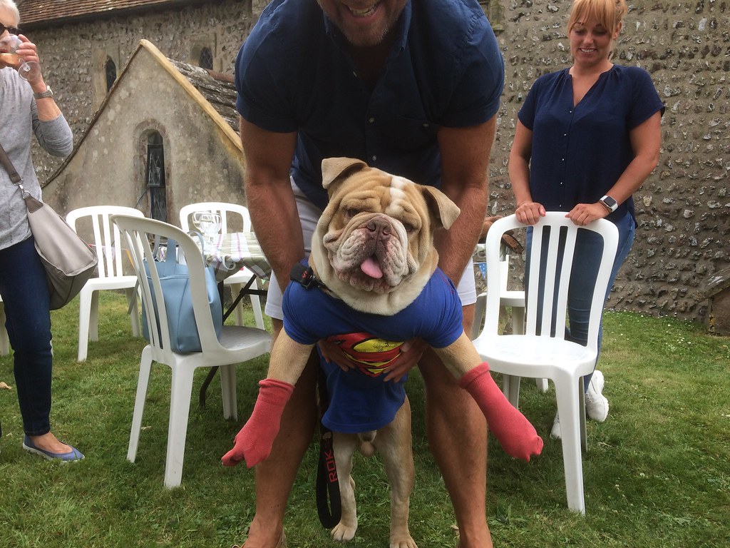 IMG_3851 Fancy Dress Dog Show Winner Superman Village