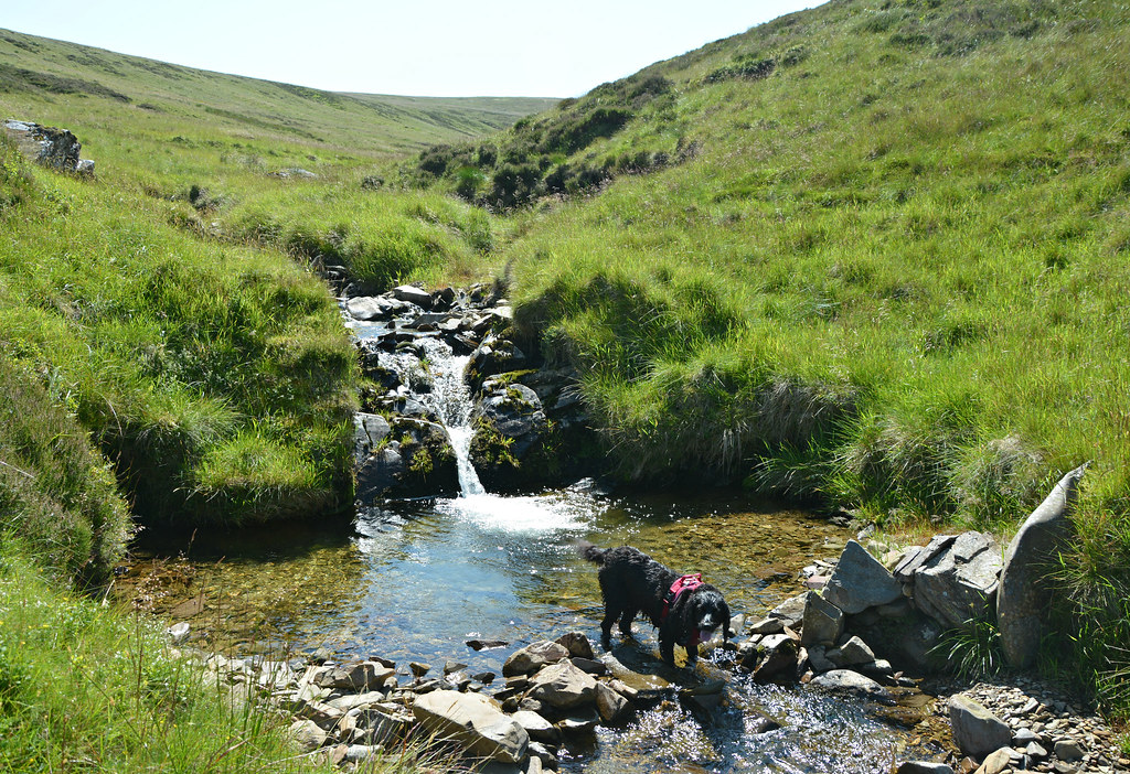 Loch FellEttrick Pen. A nice day out in the Ettrick Hills… Flickr