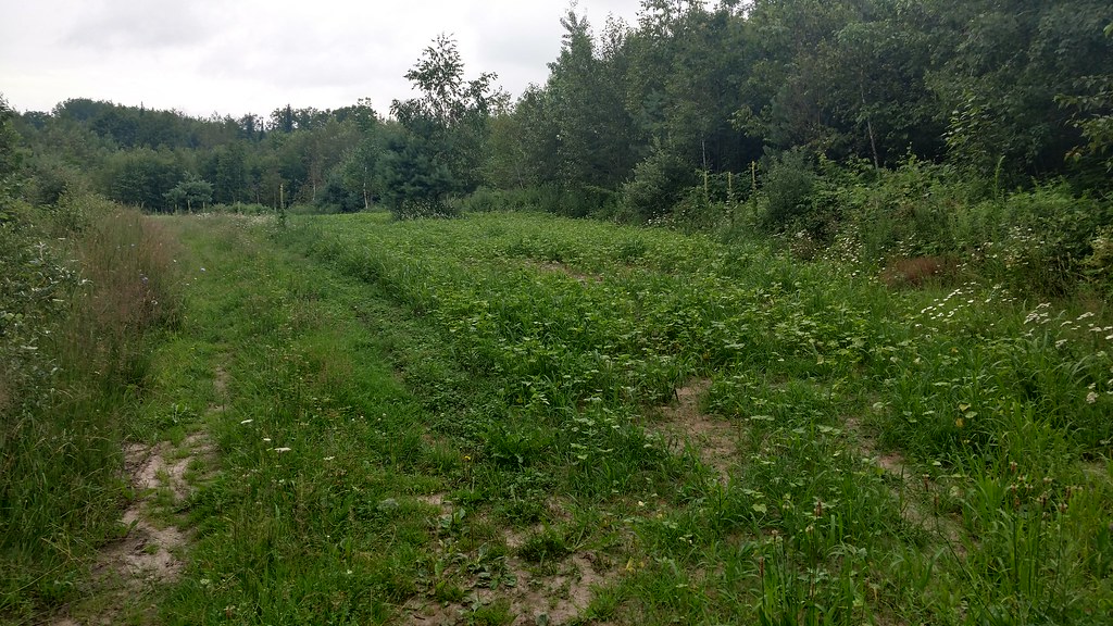 Black River Hunt Club Todd Ledingham Flickr